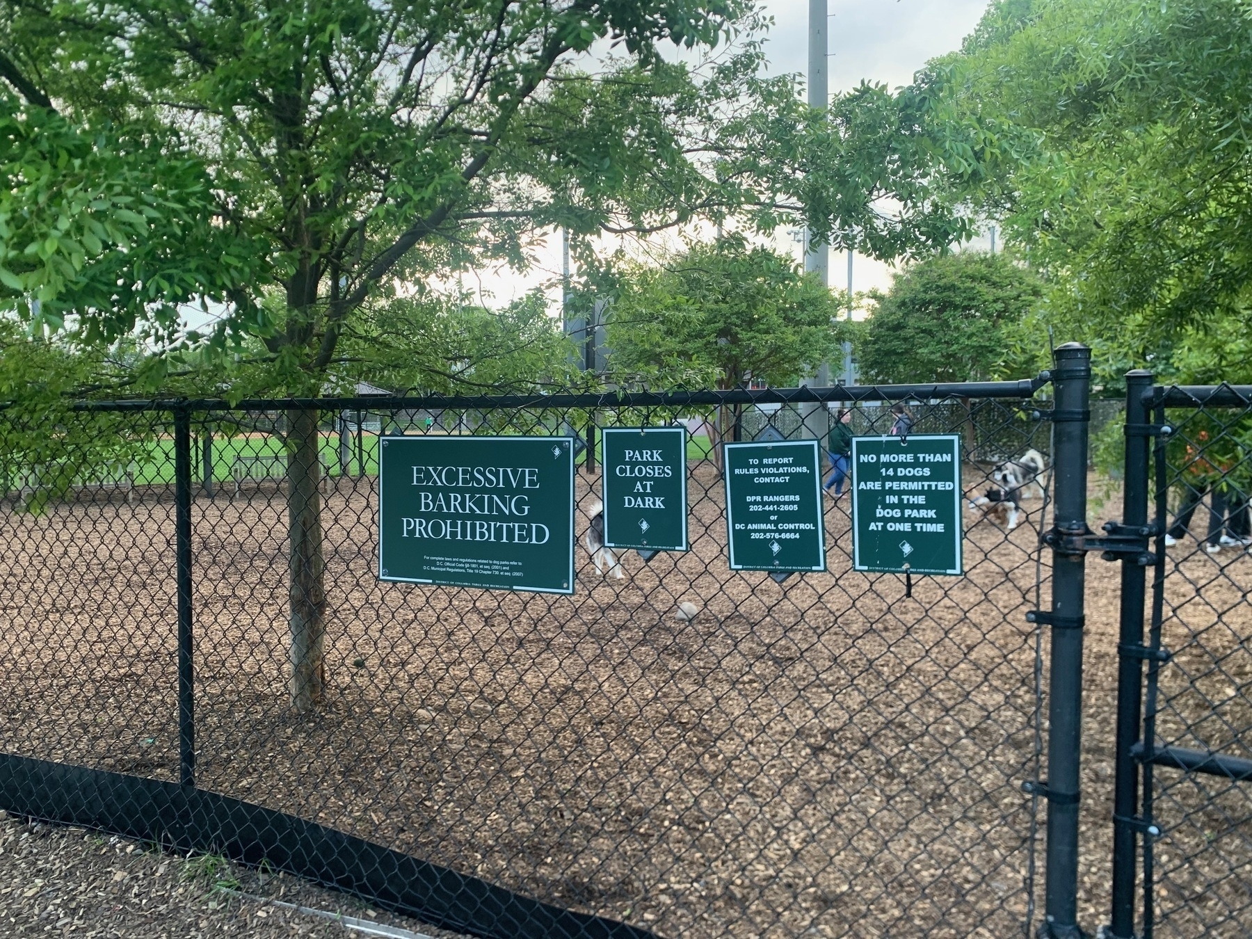 Photo of a dog park fence with four signs, on of which say &quot;Excessive barking prohibited&quot; in all capital letters on a green background.