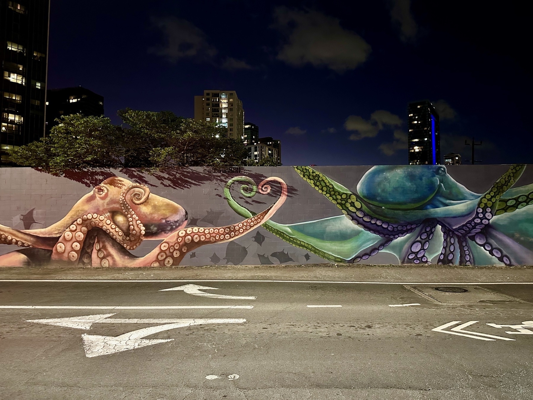 Photo of a long mural with two octopuses tangling their tentacles to form a heart.